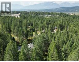 4967 Saddlewood Lane, Radium Hot Springs, BC V0A1M0 Photo 35