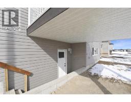 Laundry room - 41 Emmett Crescent, Red Deer, AB T4P3G8 Photo 16