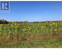 Lot 18 Concession 3 Street, Seguin, ON P2A0B2 Photo 14