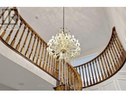 10 Driftwood Court, Richmond Hill, ON L4E3K8 Photo 11