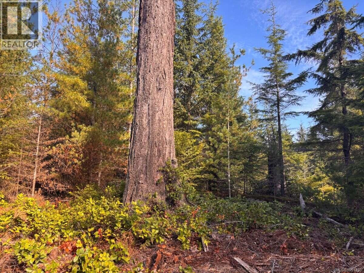 Lot B 6876 Danes Rd, Denman Island - Image 1