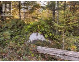 Lot B 6876 Danes Rd, Denman Island, BC V0R1T0 Photo 10