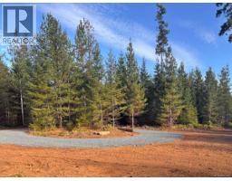 Lot B 6876 Danes Rd, Denman Island, BC V0R1T0 Photo 13