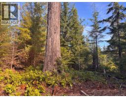Lot B 6876 Danes Rd, Denman Island, BC V0R1T0 Photo 16