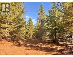 Lot B 6876 Danes Rd, Denman Island, BC V0R1T0 Photo 17