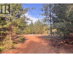 Lot B 6876 Danes Rd, Denman Island, BC V0R1T0 Photo 20