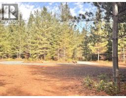 Lot B 6876 Danes Rd, Denman Island, BC V0R1T0 Photo 21