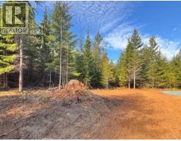 Lot B 6876 Danes Rd, Denman Island, BC V0R1T0 Photo 22