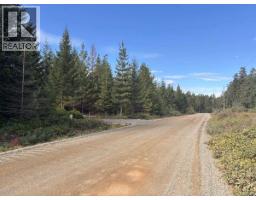Lot B 6876 Danes Rd, Denman Island, BC V0R1T0 Photo 24