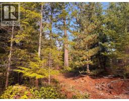 Lot B 6876 Danes Rd, Denman Island, BC V0R1T0 Photo 6