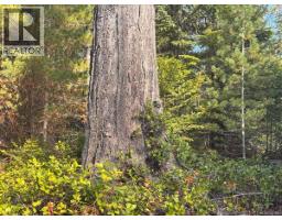 Lot B 6876 Danes Rd, Denman Island, BC V0R1T0 Photo 8