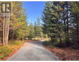 Lot B 6876 Danes Rd, Denman Island, BC V0R1T0 Photo 9
