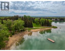 839 Lake Twintree Crescent SE - photo 46