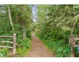 12051 18 Av Sw Sw, Edmonton, AB T6W1W3 Photo 44
