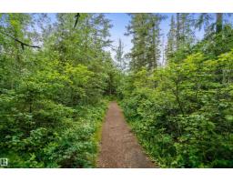 12051 18 Av Sw Sw, Edmonton, AB T6W1W3 Photo 45