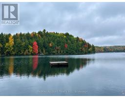 1005 Mcarthur Point Road, Lake Of Bays, ON P0B1A0 Photo 25