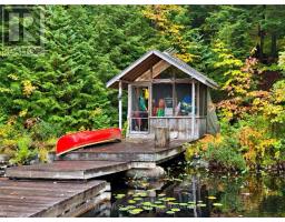 1005 Mcarthur Point Road, Lake Of Bays, ON P0B1A0 Photo 27