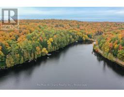 1005 Mcarthur Point Road, Lake Of Bays, ON P0B1A0 Photo 33
