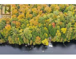 1005 Mcarthur Point Road, Lake Of Bays, ON P0B1A0 Photo 34