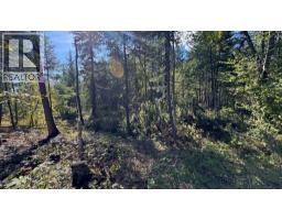Pine Ridge Road Lot# Lot 31, Kaslo, BC V0G1M0 Photo 11
