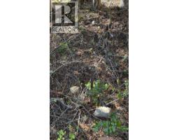 Pine Ridge Road Lot# Lot 31, Kaslo, BC V0G1M0 Photo 13