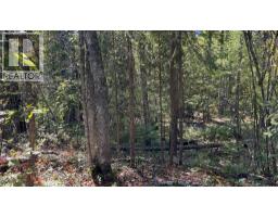 Pine Ridge Road Lot# Lot 31, Kaslo, BC V0G1M0 Photo 12