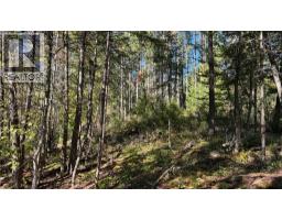 Pine Ridge Road Lot# Lot 31, Kaslo, BC V0G1M0 Photo 8