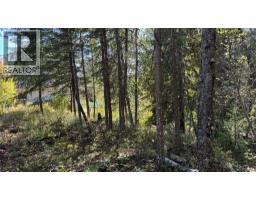 Pine Ridge Road Lot# Lot 31, Kaslo, BC V0G1M0 Photo 10
