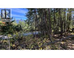 Pine Ridge Road Lot# Lot 31, Kaslo, BC V0G1M0 Photo 7