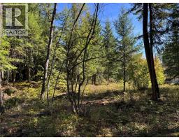 Pine Ridge Road Lot# Lot 31, Kaslo, BC V0G1M0 Photo 9