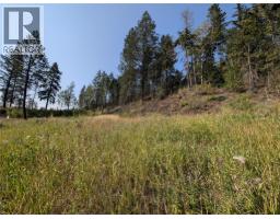 6200 Columbia Lake Road Lot# 12, Fairmont Hot Springs, BC V0B1L2 Photo 6