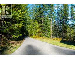 3pc Bathroom - 807 Spokane Street, Rossland, BC V0G1Y0 Photo 6