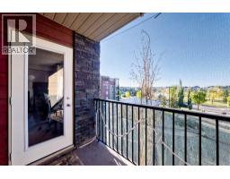 314, 5 Saddlestone Way Ne, Calgary, AB T3J0S2 Photo 41