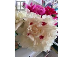 2501 20 Street, Nanton, AB T0L1R0 Photo 50