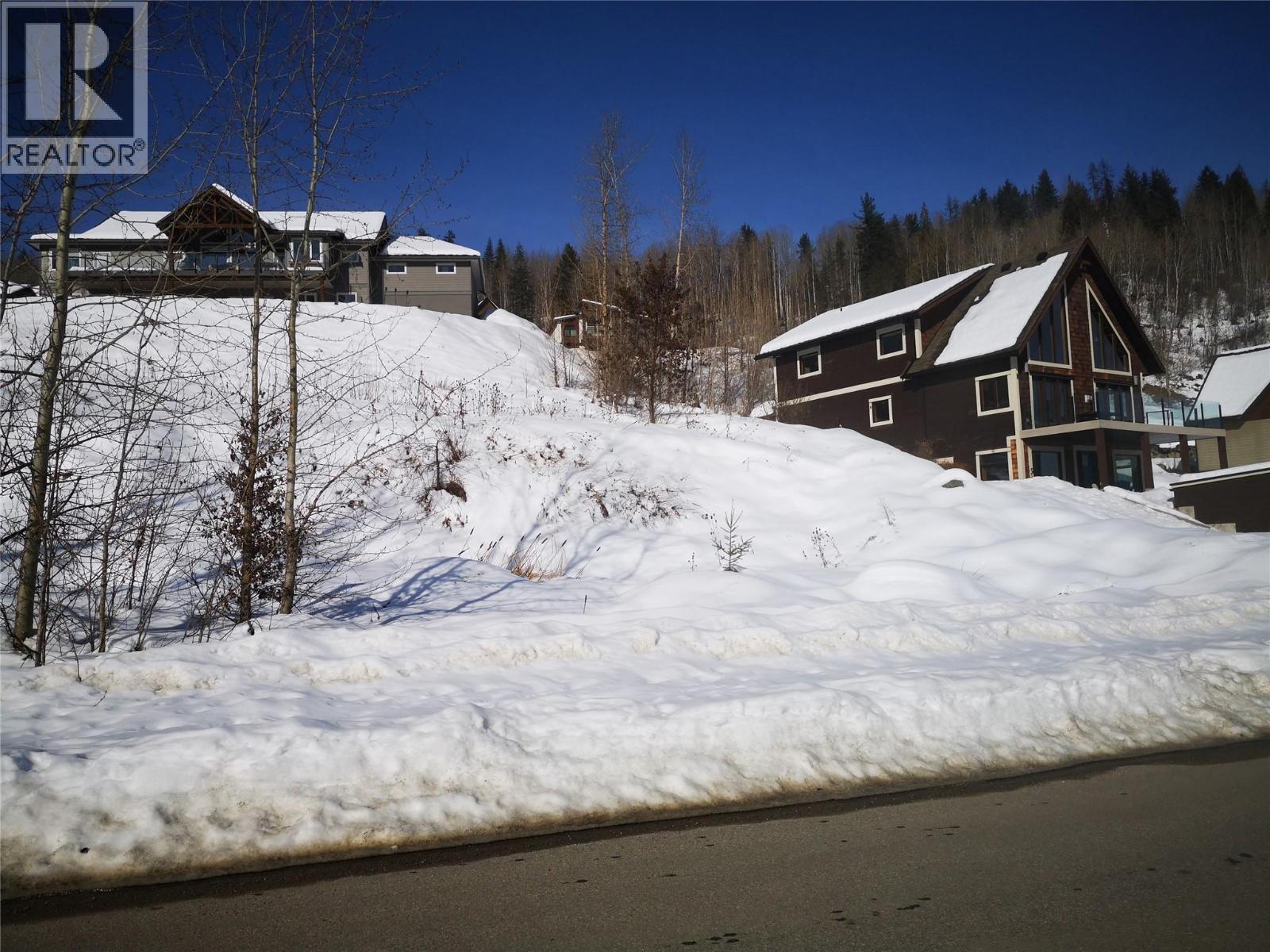 806 WHITE TAIL Drive - 18