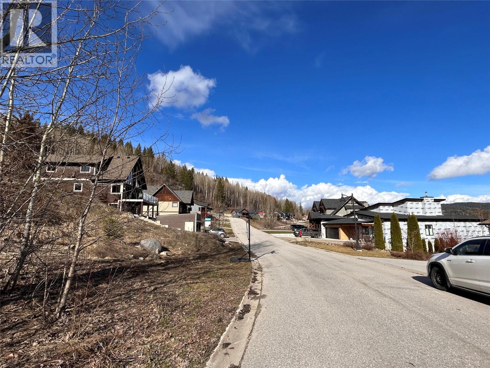 806 WHITE TAIL Drive - 12