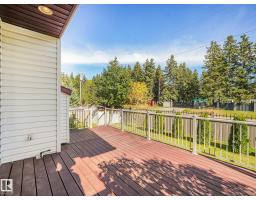 10703 6 Av Sw, Edmonton, AB T6W1G3 Photo 37