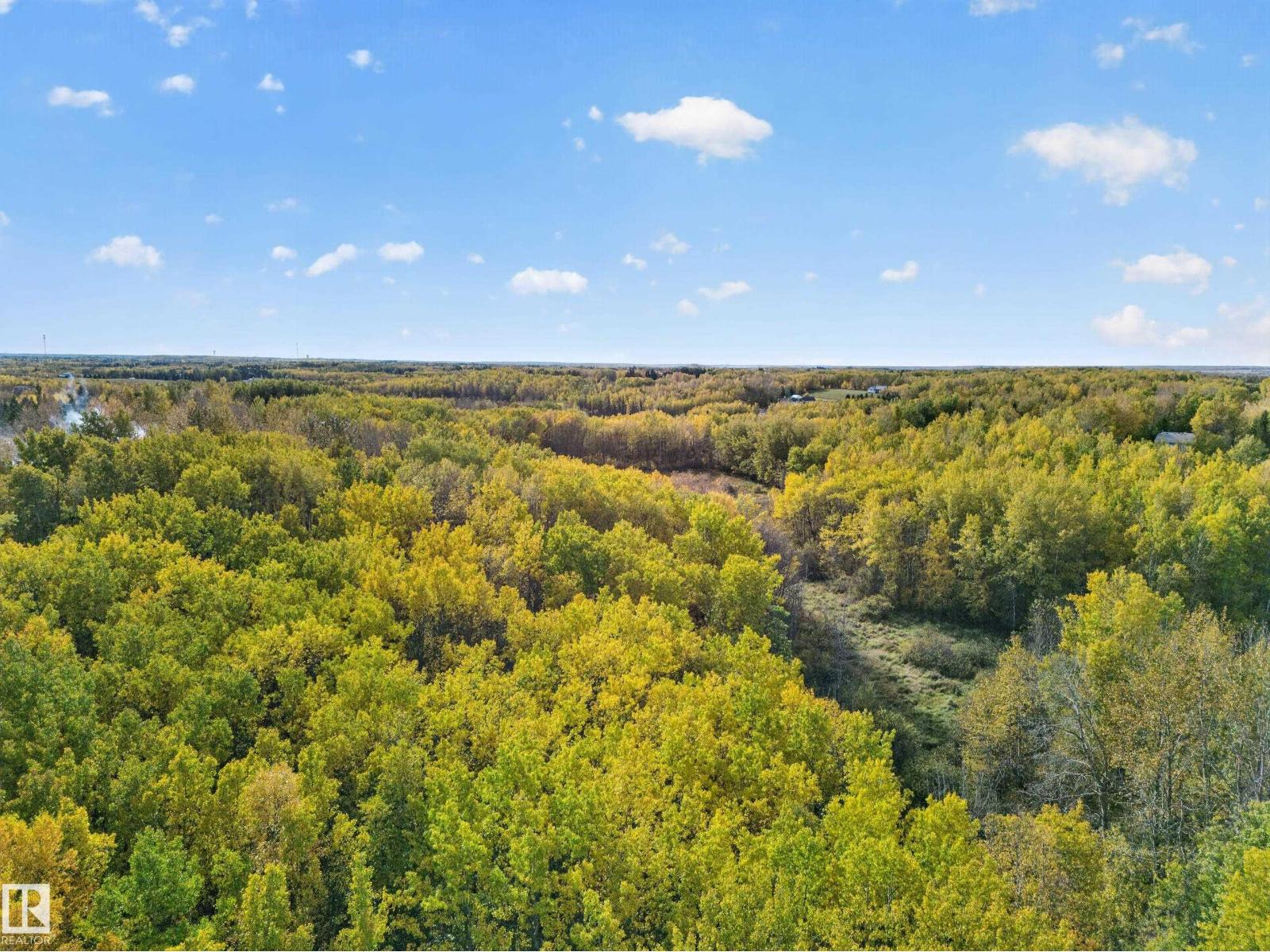 #116 53319 RGE ROAD 14 - Image 61