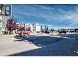 217, 2000 Somervale Court SW - photo 30