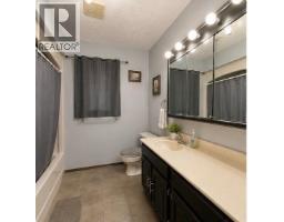3pc Bathroom - 10024 103 Avenue, Lac La Biche, AB T0A2C0 Photo 7