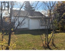 1009 95 Avenue, Dawson Creek, BC V1G1H9 Photo 15