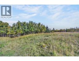 35254 Highway 1a, Rural Rocky View County, AB T4C2K1 Photo 8