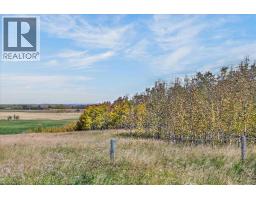 35254 Highway 1a, Rural Rocky View County, AB T4C2K1 Photo 9
