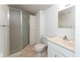 16029 95 Av Nw, Edmonton, AB T5P0A8 Photo 46