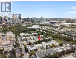 401, 120 24 Avenue SW - photo 47