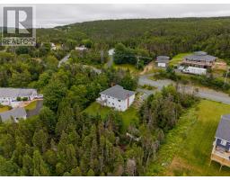 946 Indian Meal Line, Portugal Cove   St  Phillips, NL A1M3C8 Photo 30