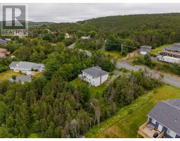 946 Indian Meal Line, Portugal Cove   St  Phillips, NL A1M3C8 Photo 31