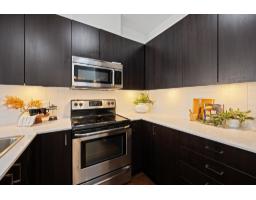 416 20460 Douglas Crescent, Langley, BC V3A0C6 Photo 11