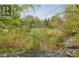 19 Ballymore Drive, Aurora, ON L4G7E6 Photo 50