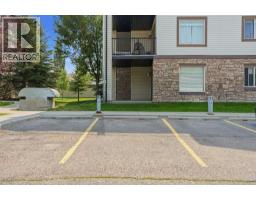 5205, 16969 24 Street SW - photo 33